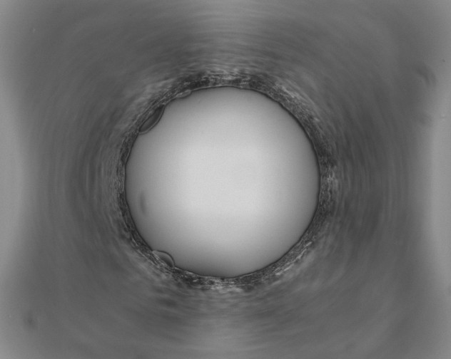 X0000111490961200908111220