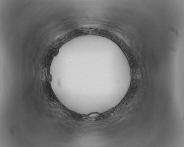 X0000111490965200908111220