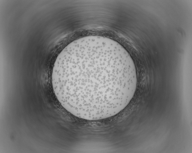 X0000111490966200908111220