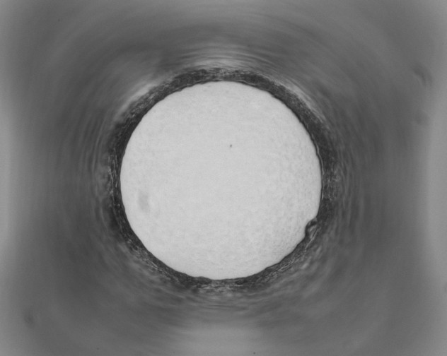 X0000111490967200908111220