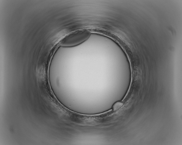 X0000111490969200908111220