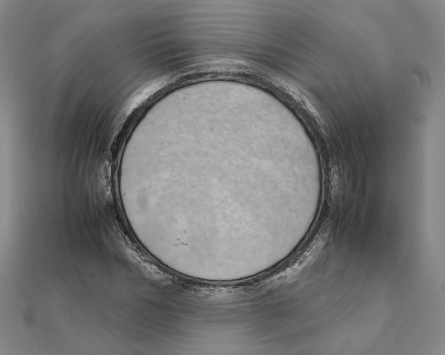 X0000111490970200908111220
