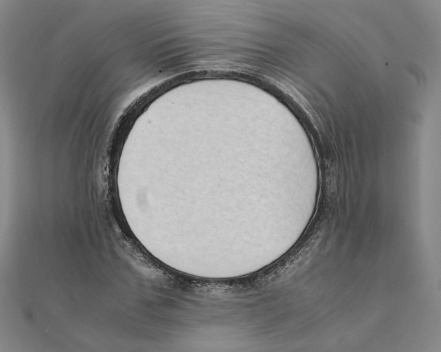 X0000111490971200908111220