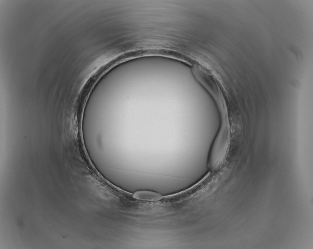 X0000111490973200908111220