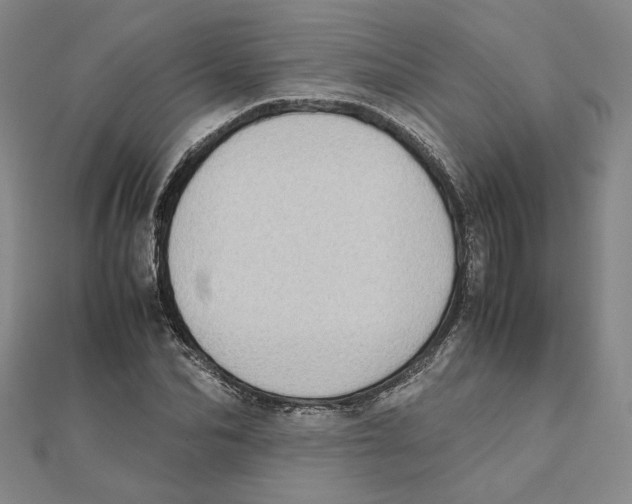 X0000111490974200908111220