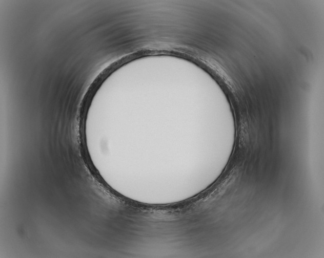 X0000111490976200908111220