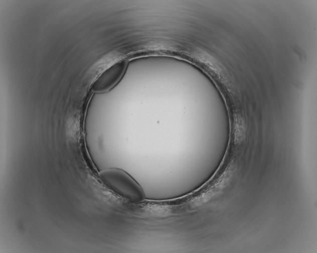 X0000111490977200908111220