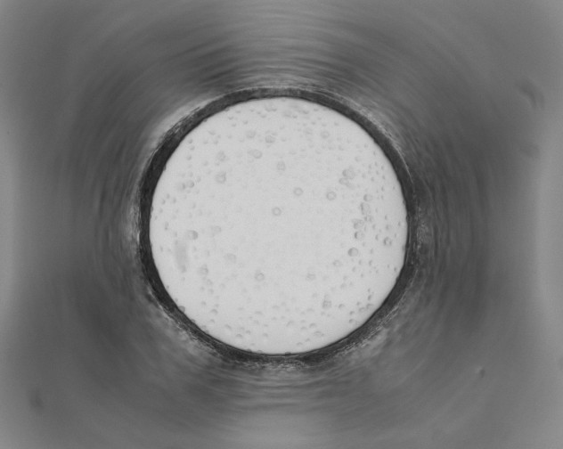 X0000111490979200908111220