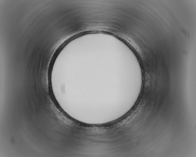 X0000111490980200908111220
