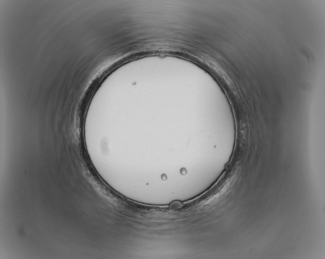 X0000111490981200908111220
