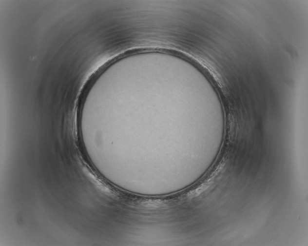 X0000111490982200908111220