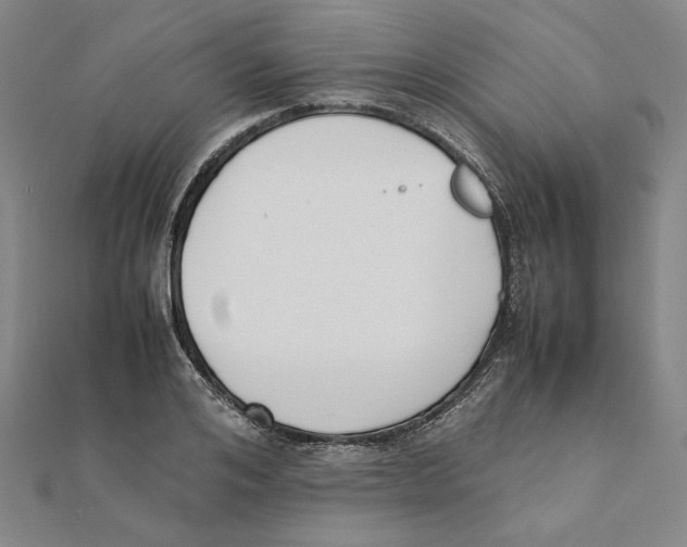 X0000111490984200908111220