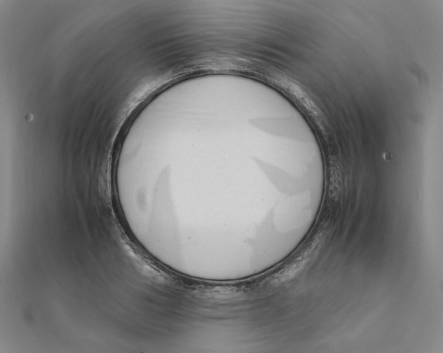 X0000111490986200908111220