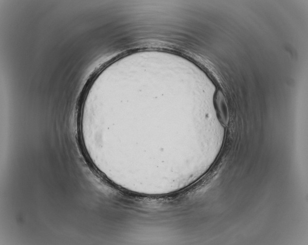X0000111490987200908111220