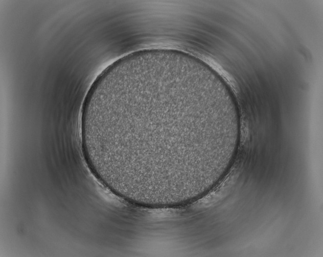 X0000111490988200908111220