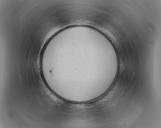 X0000111490990200908111220
