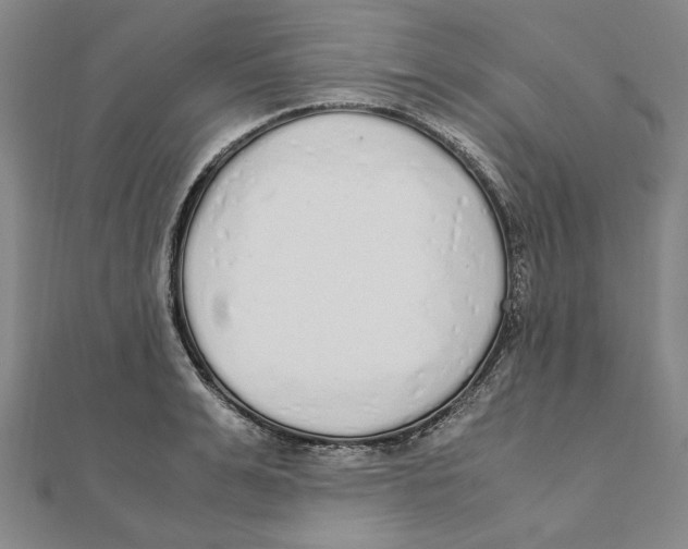 X0000111490991200908111220