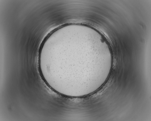 X0000111490992200908111220