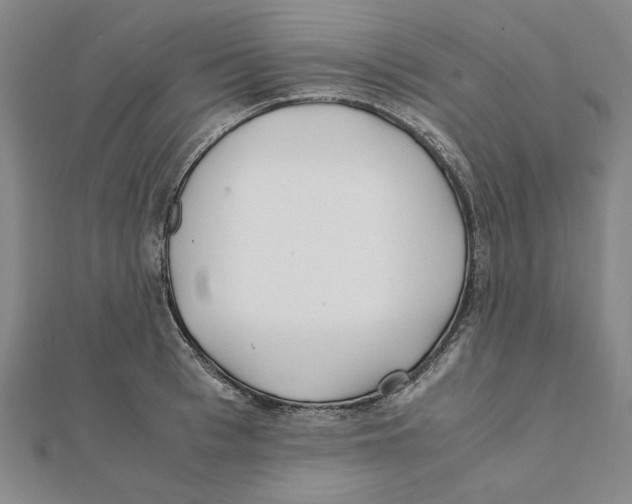 X0000111490993200908111220
