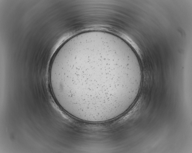 X0000111490994200908111220