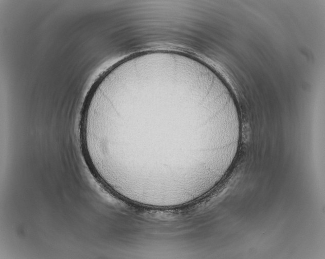 X0000111490995200908111220