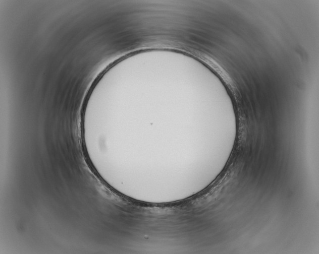 X0000111490996200908111220