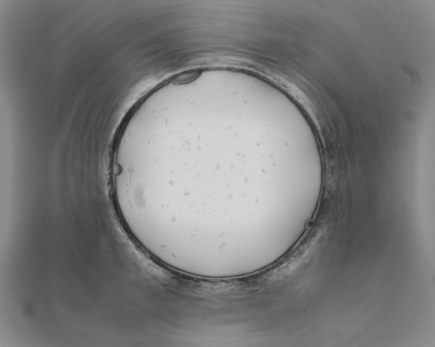 X0000111490997200908111220