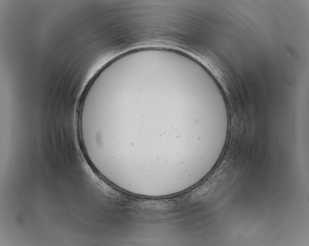 X0000111490998200908111220