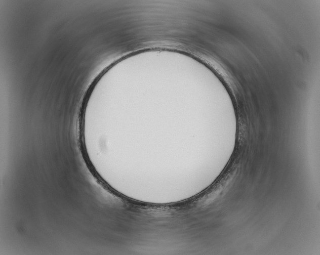 X0000111490999200908111220