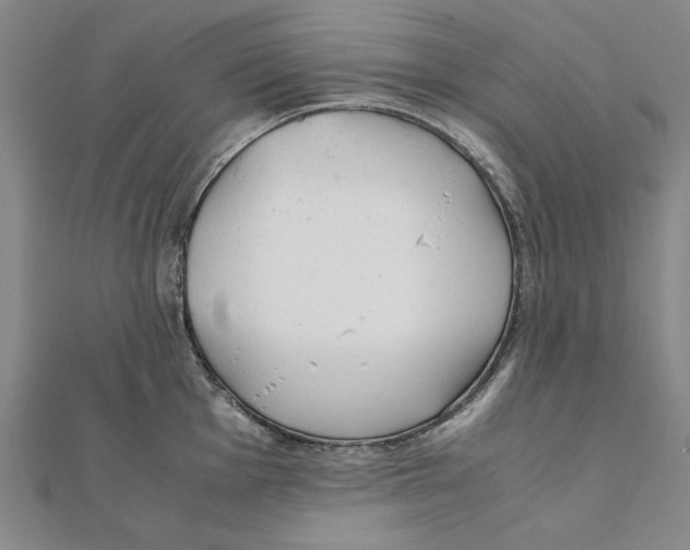 X0000111491001200908111220