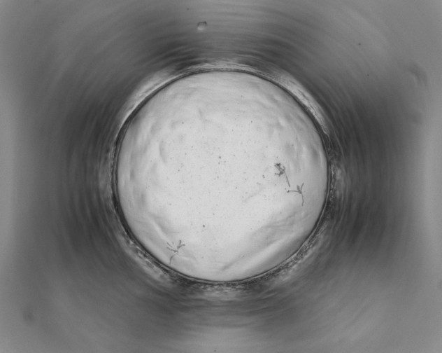 X0000111491002200908111220