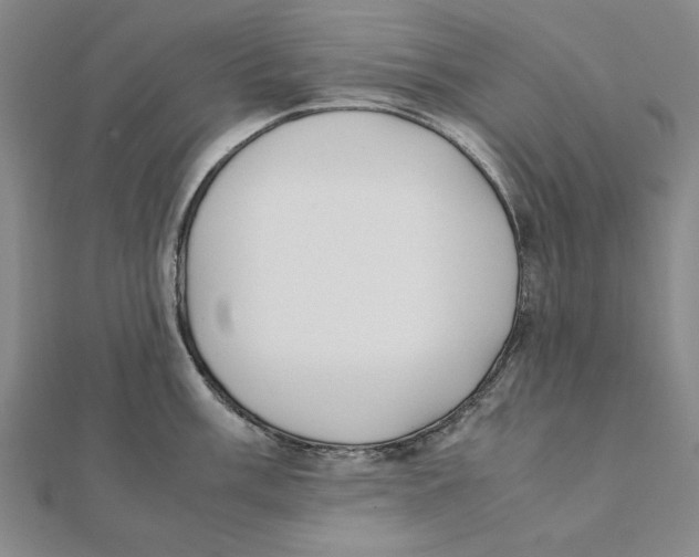 X0000111491003200908111219