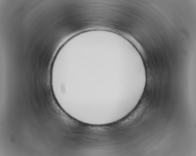 X0000111491004200908111219