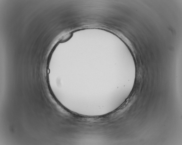 X0000111491005200908111219