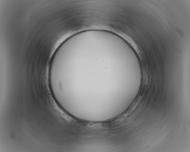 X0000111491006200908111219