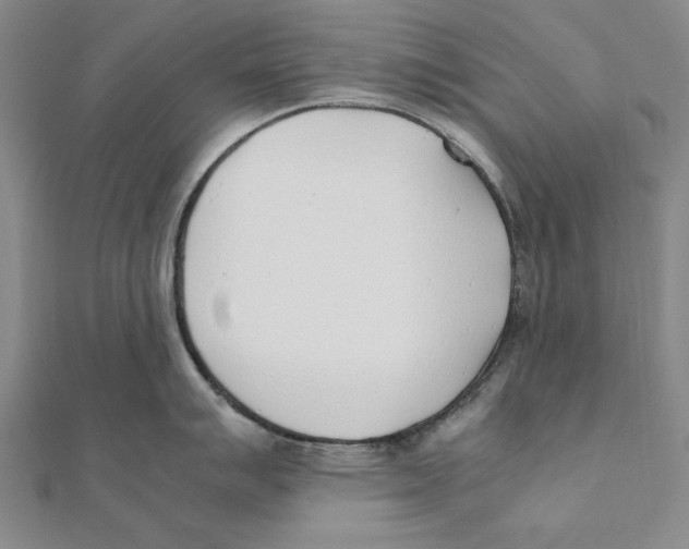 X0000111491007200908111219