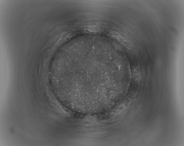 X0000111491009200908111219