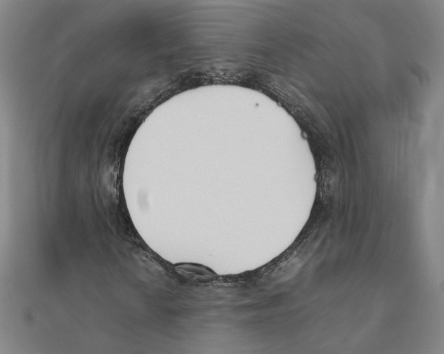 X0000111491010200908111219
