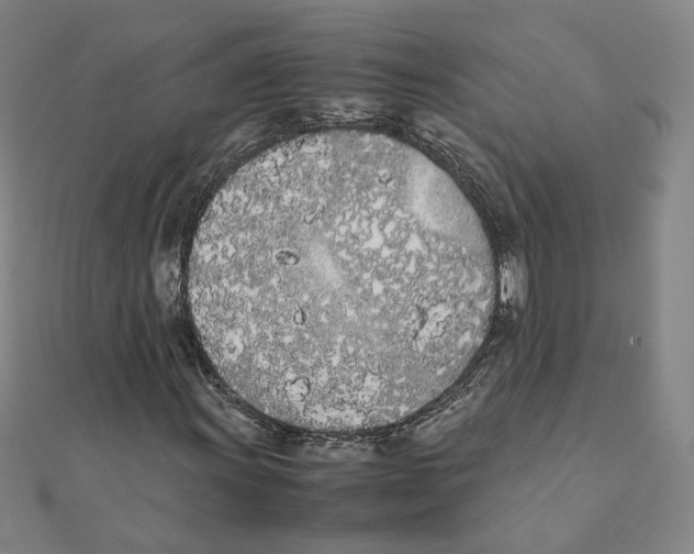 X0000111491011200908111219