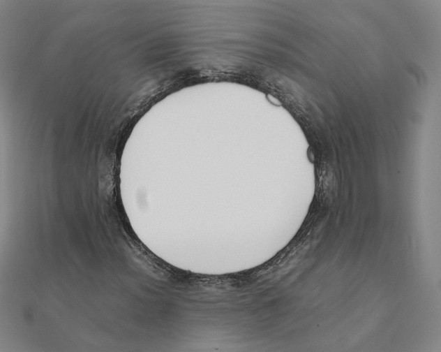 X0000111491012200908111219