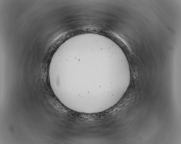 X0000111491015200908111219