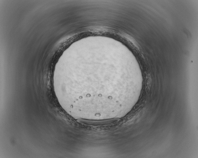 X0000111491016200908111219