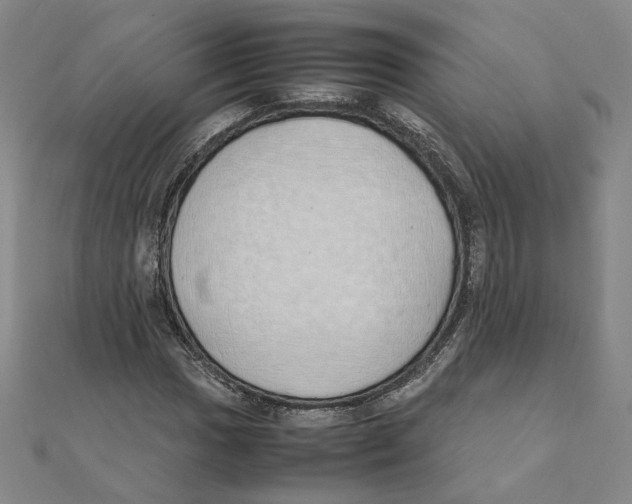 X0000111491017200908111219
