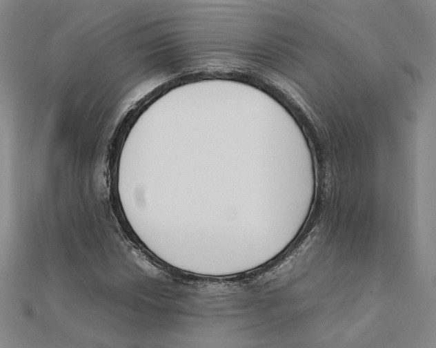 X0000111491018200908111219