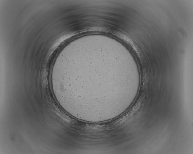 X0000111491019200908111219
