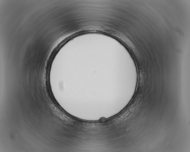 X0000111491020200908111219
