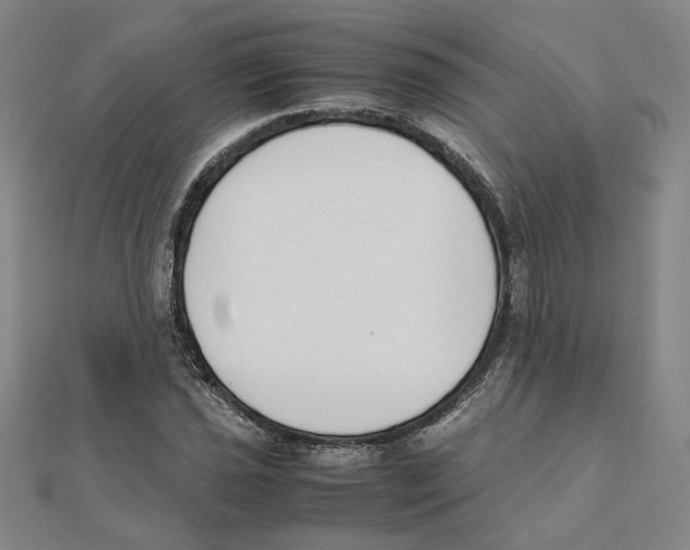 X0000111491021200908111219