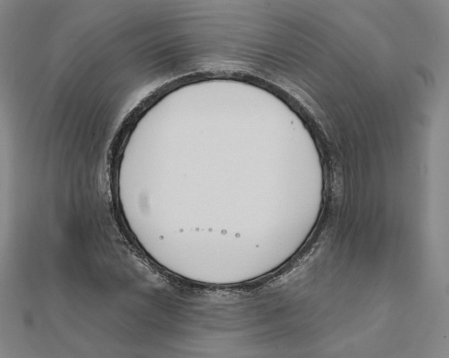 X0000111491022200908111219