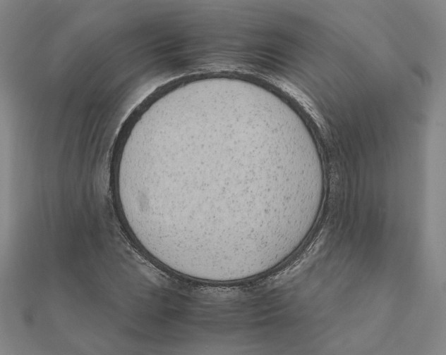 X0000111491023200908111219