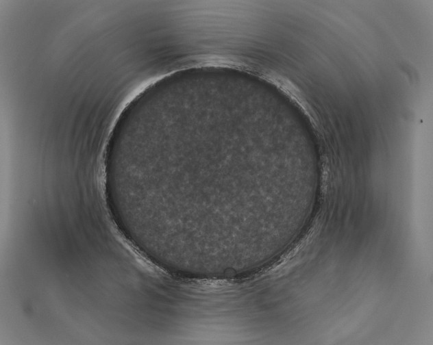 X0000111491024200908111219